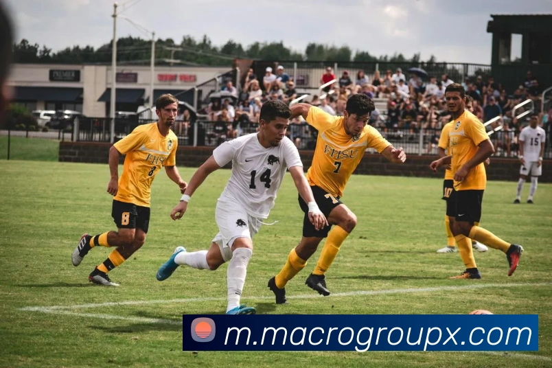 多彩内容专区